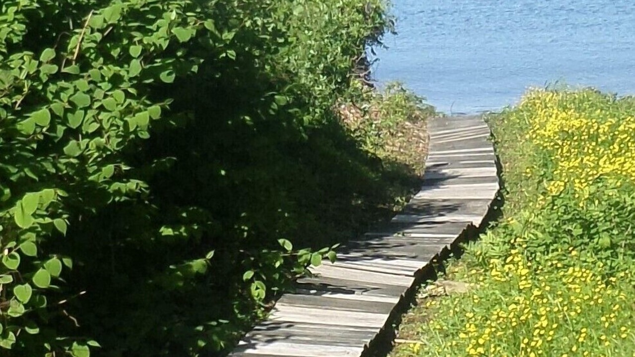 Photo of Others in Glen Cove