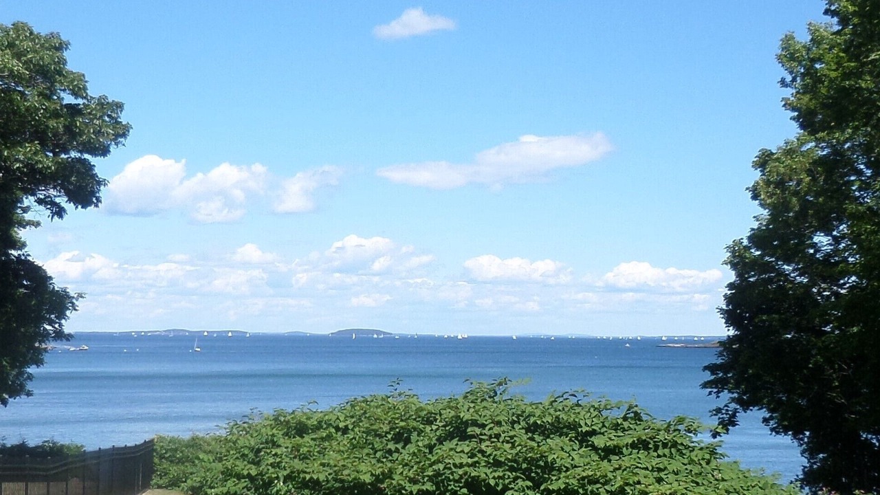 Photo of Others in Glen Cove