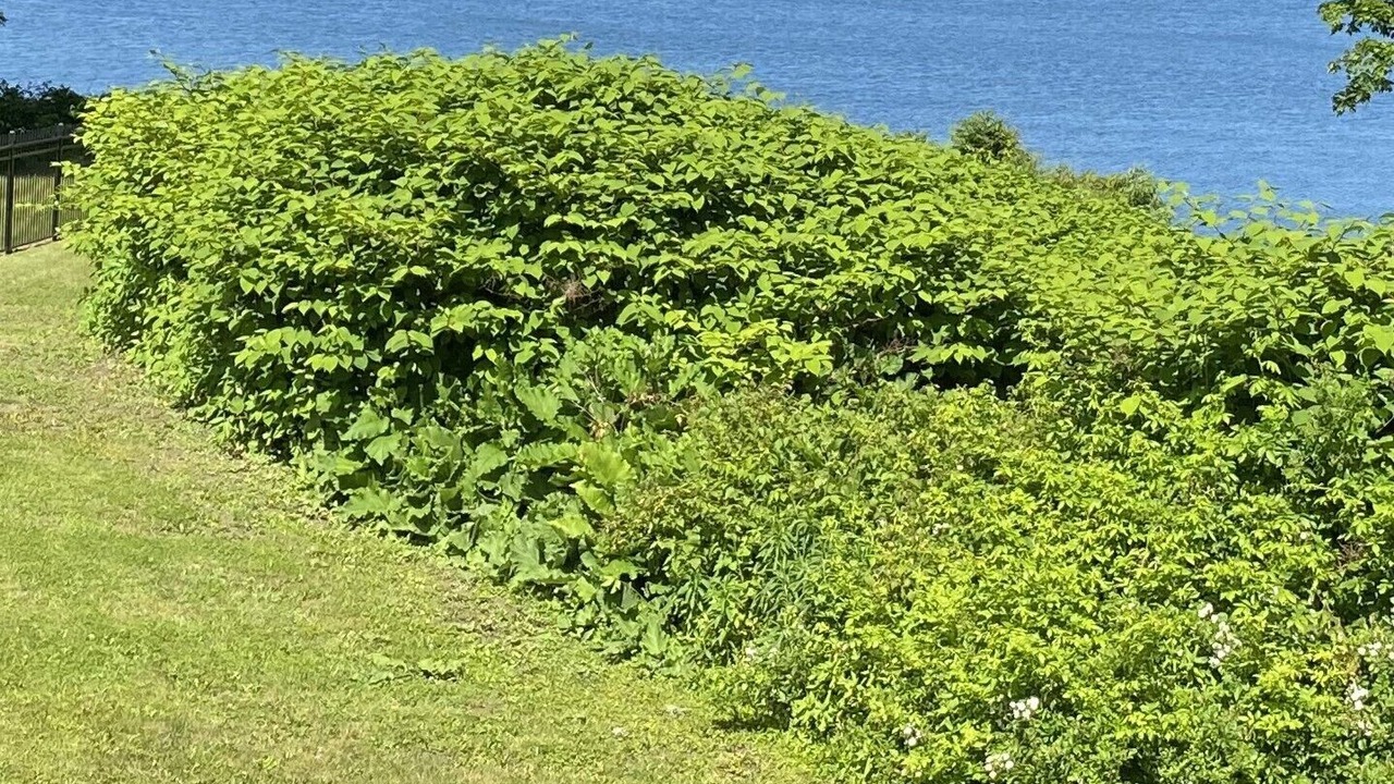 Photo of Others in Glen Cove