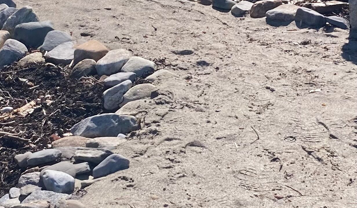 Photo of Others in Glen Cove