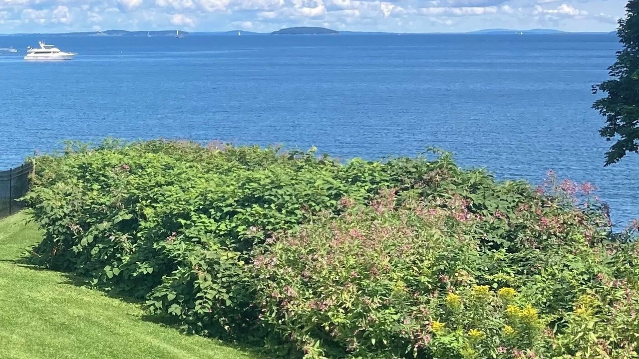 Photo of Others in Glen Cove