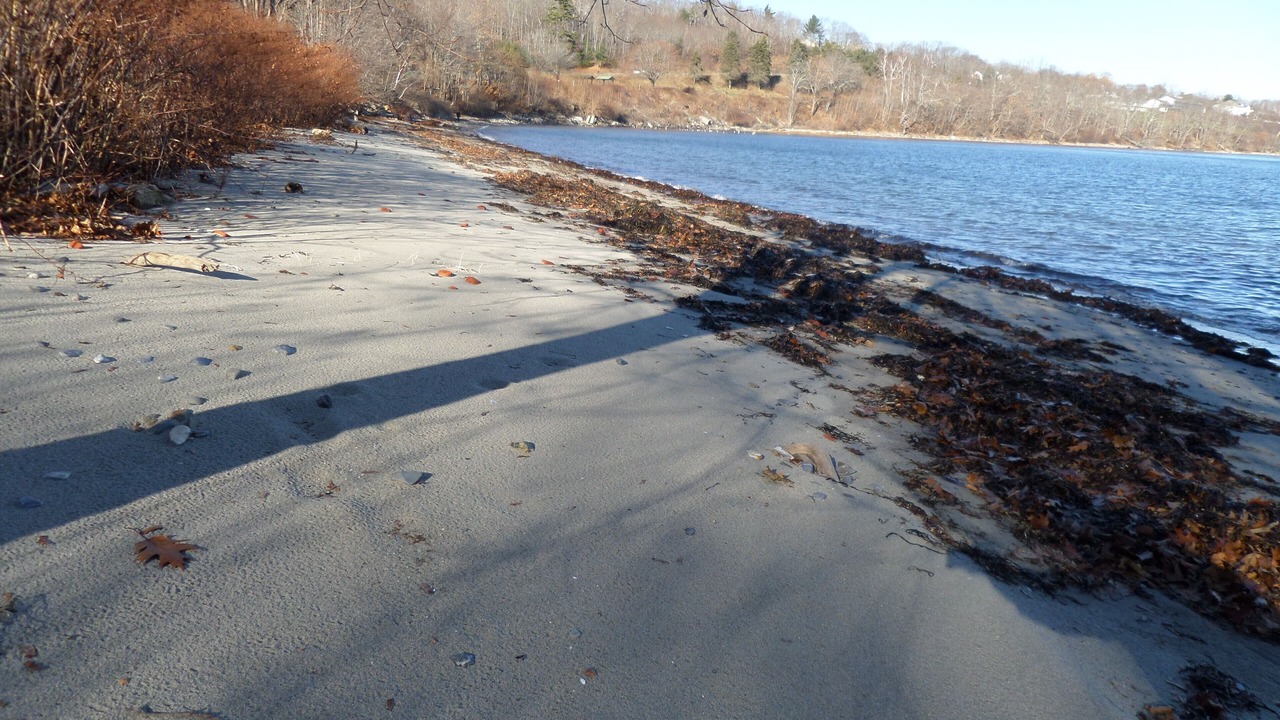 Photo of Others in Glen Cove