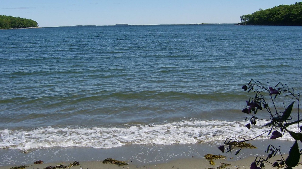 Photo of Others in Glen Cove