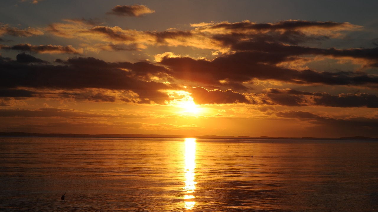 Photo of Others in Glen Cove