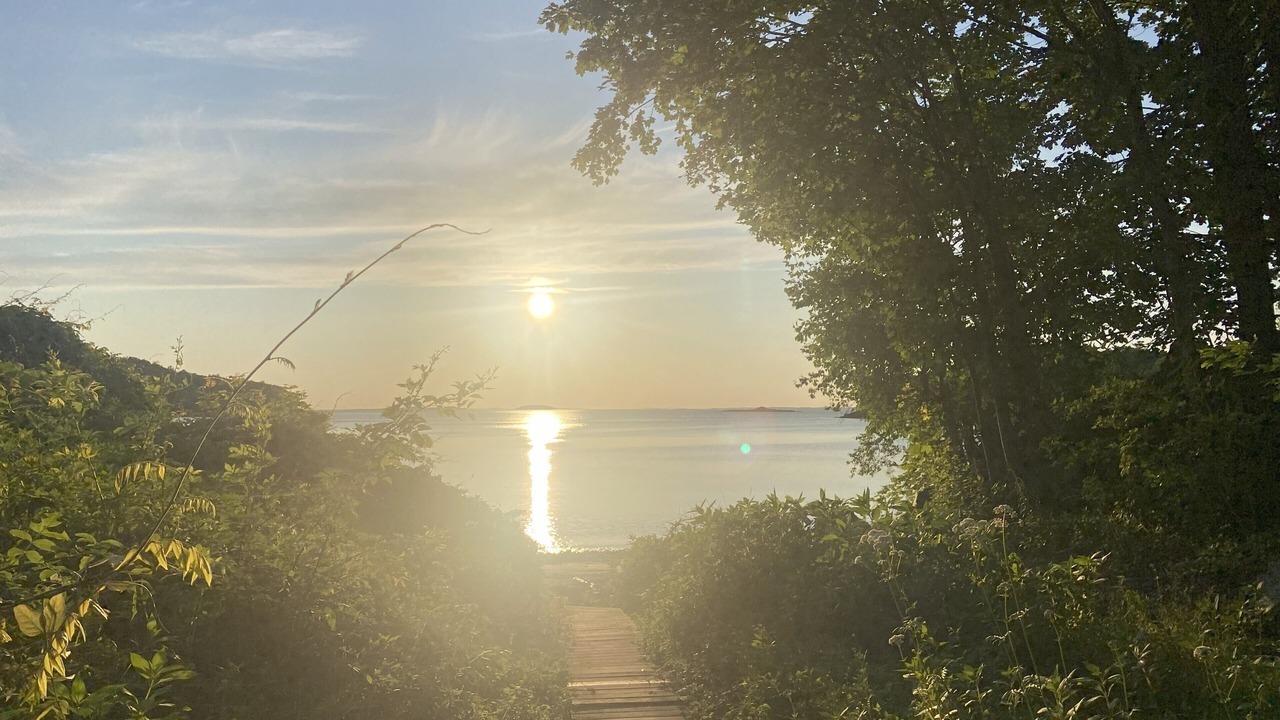 Photo of Others in Glen Cove