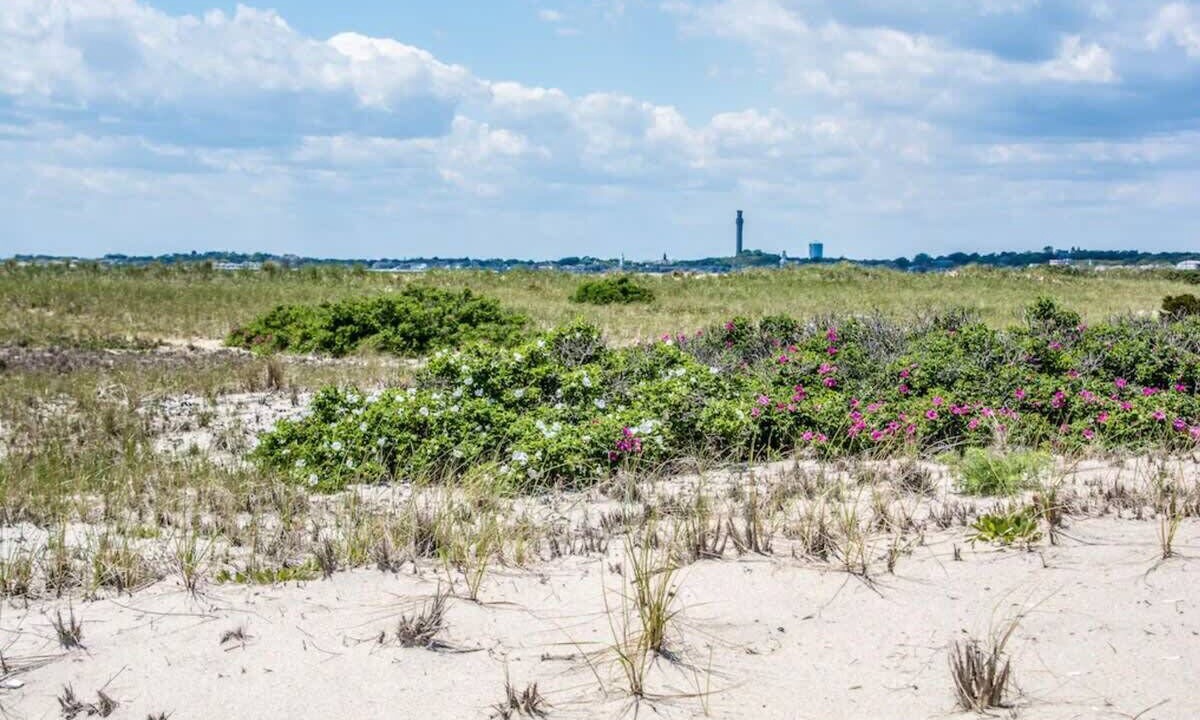 Photo of Others in North Truro
