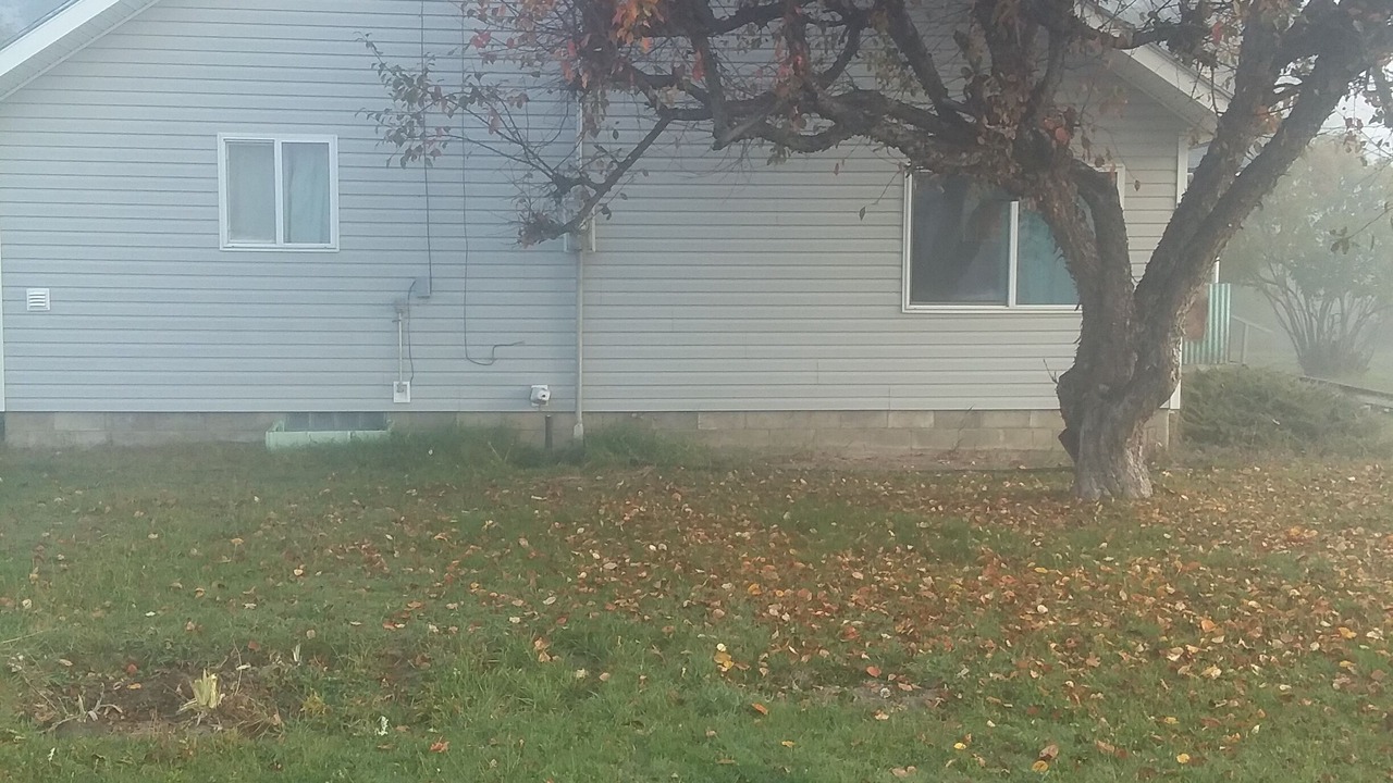 Photo of Outdoor in Ione