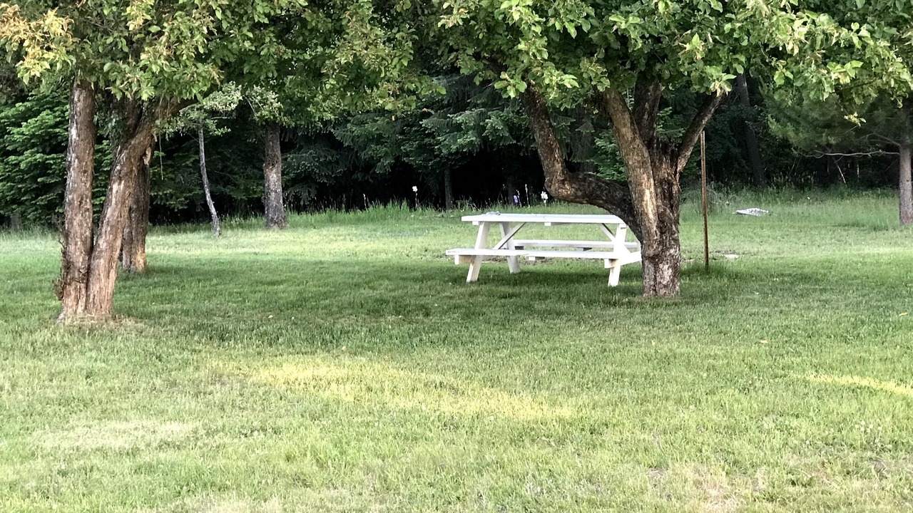 Photo of Outdoor in Ione