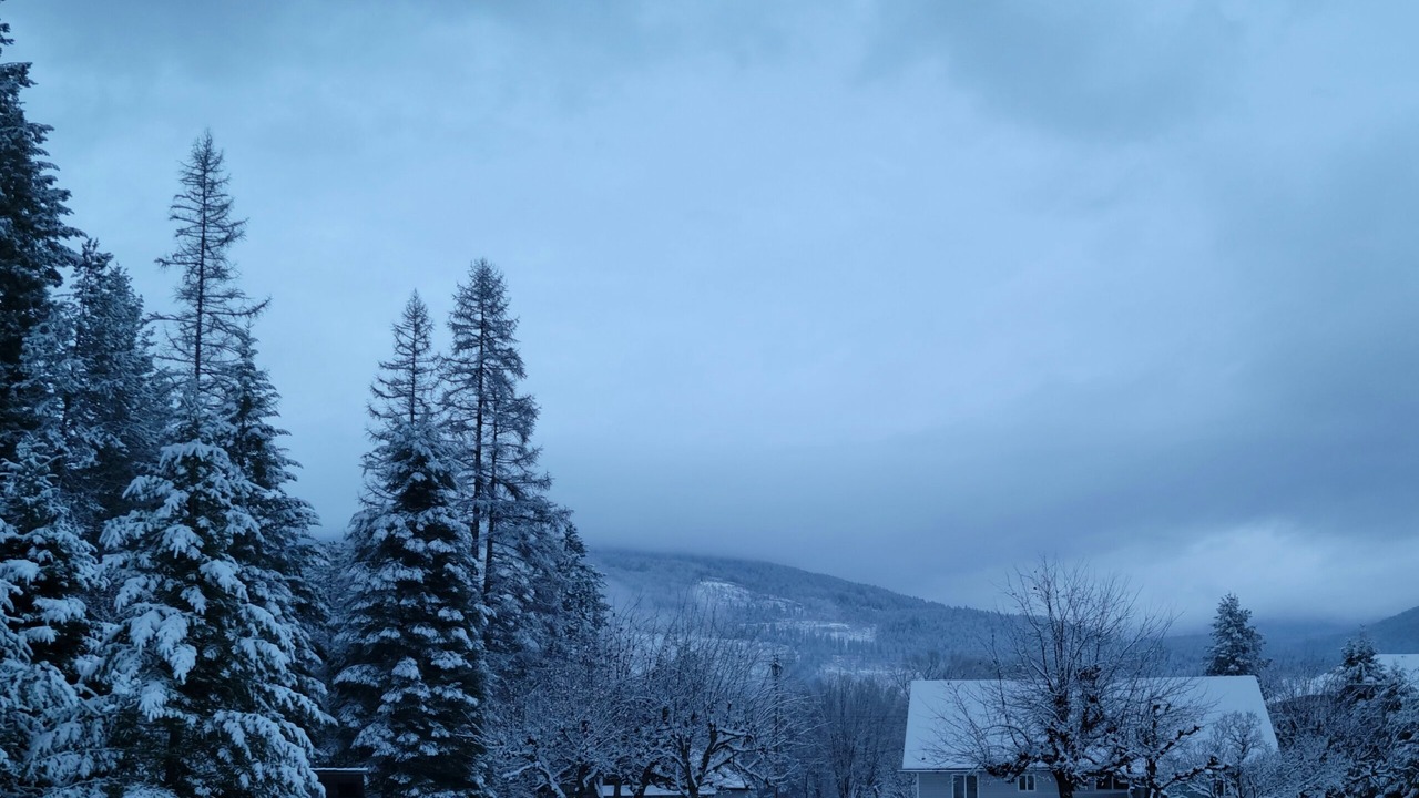 Photo of Outdoor in Ione