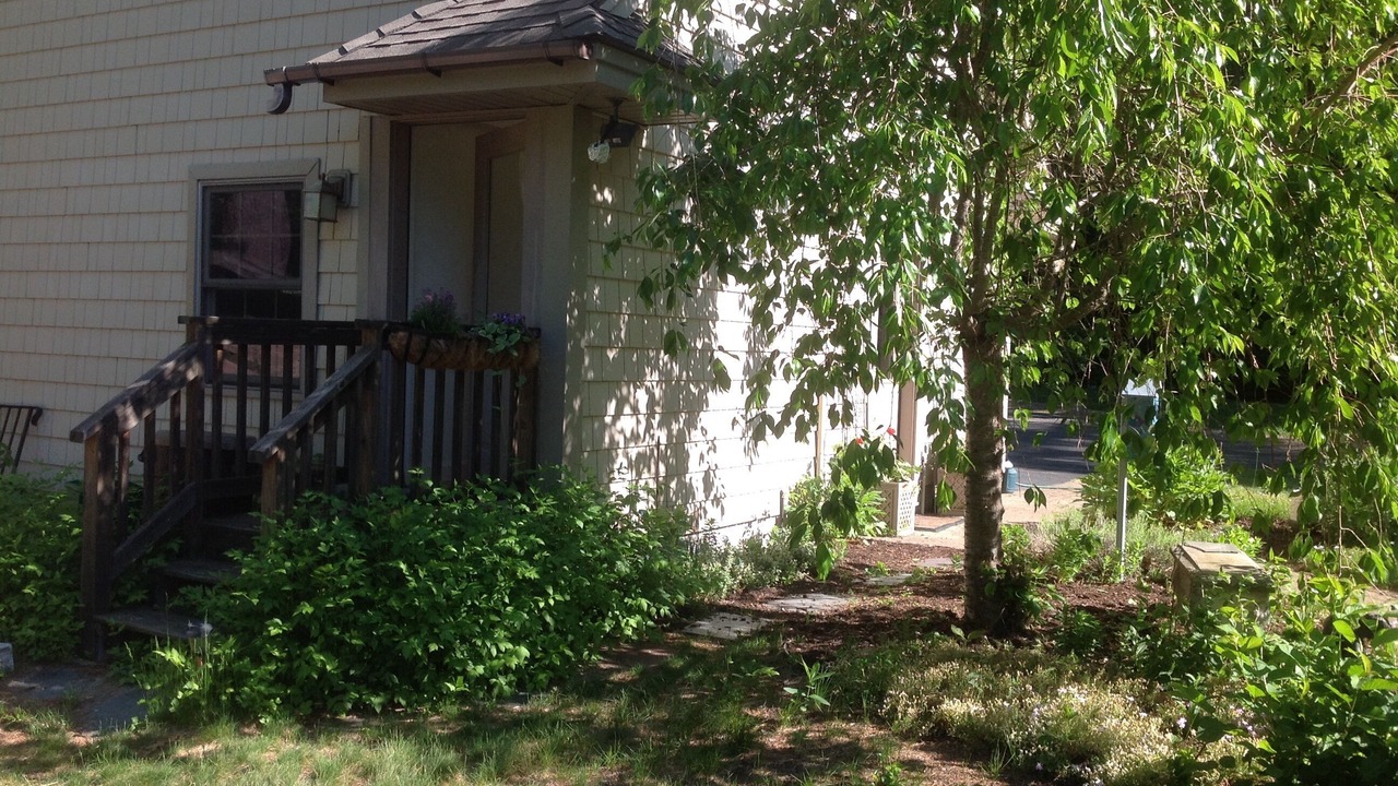 Photo of Outdoor in Wolfeboro