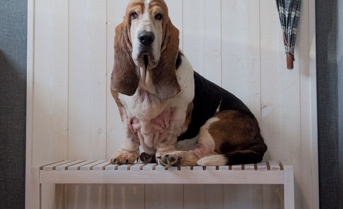 Photo of Others in Lagarde