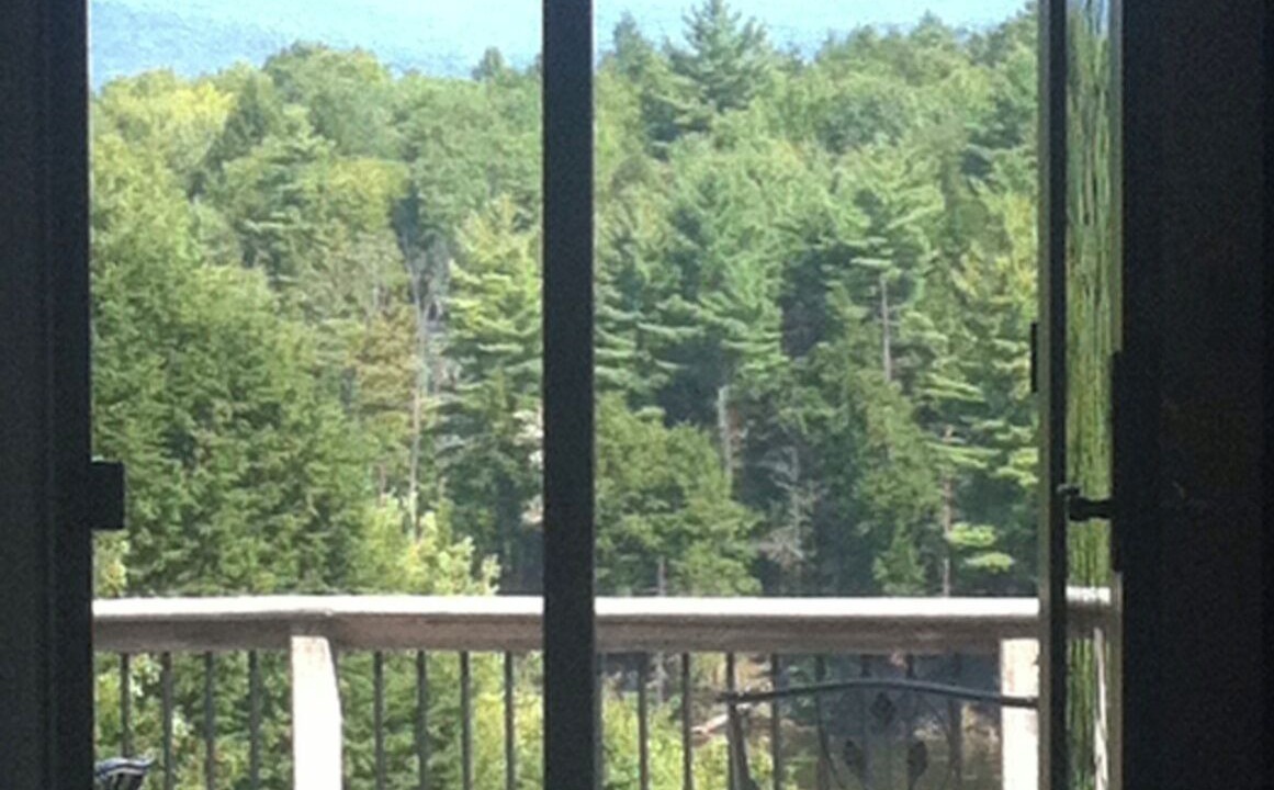 Photo of Others in Putney