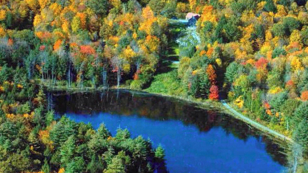 Photo of Outdoor in Putney