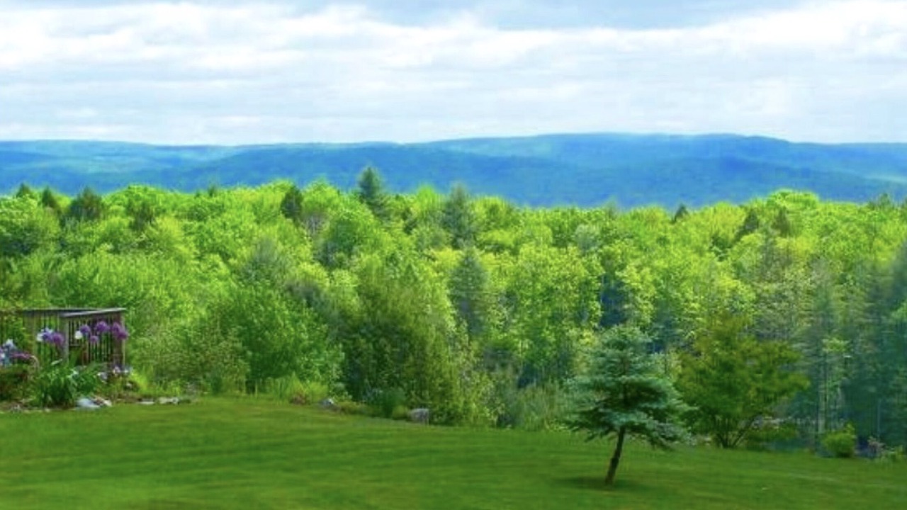 Photo of Others in Putney