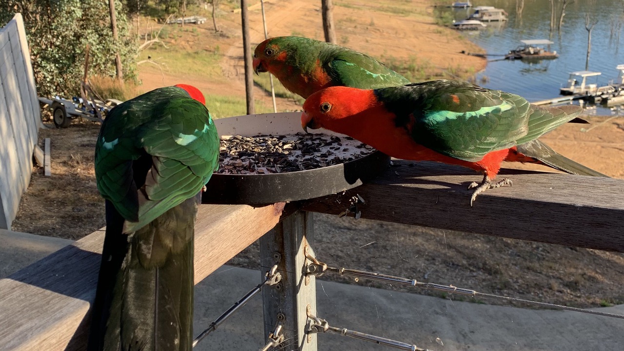 Photo of Others in Taylor Bay