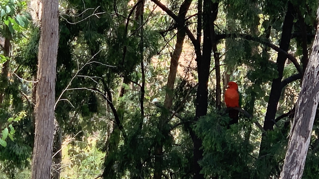 Photo of Outdoor in Taylor Bay