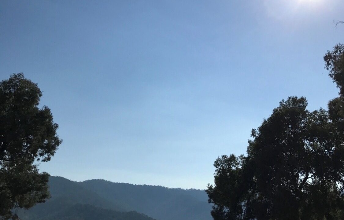 Photo of Others in Taylor Bay