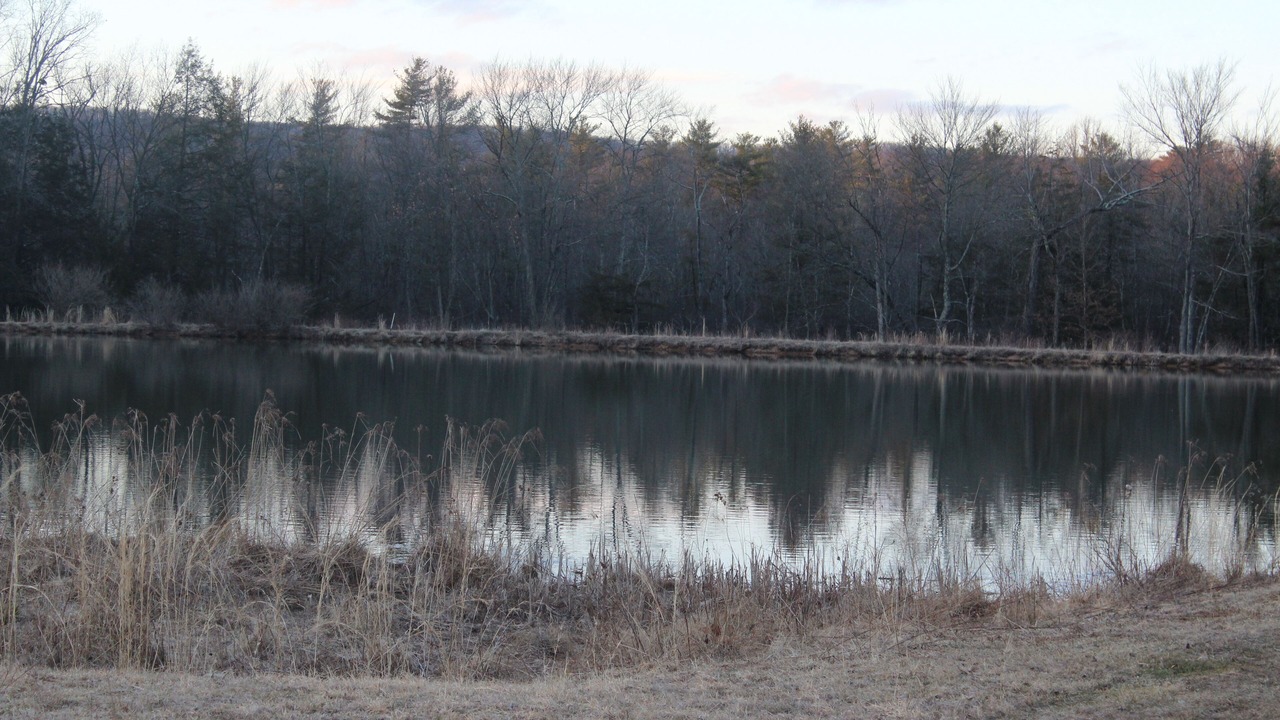 Photo of Outdoor in Sybertsville