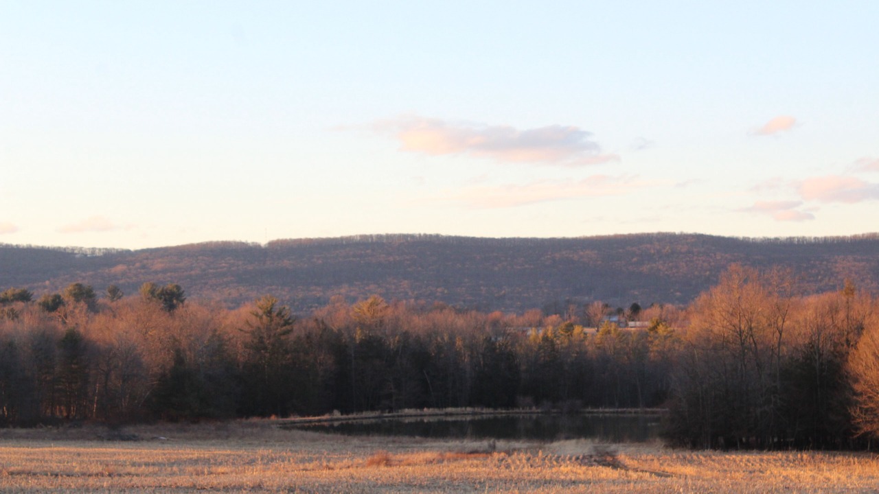 Photo of Others in Sybertsville