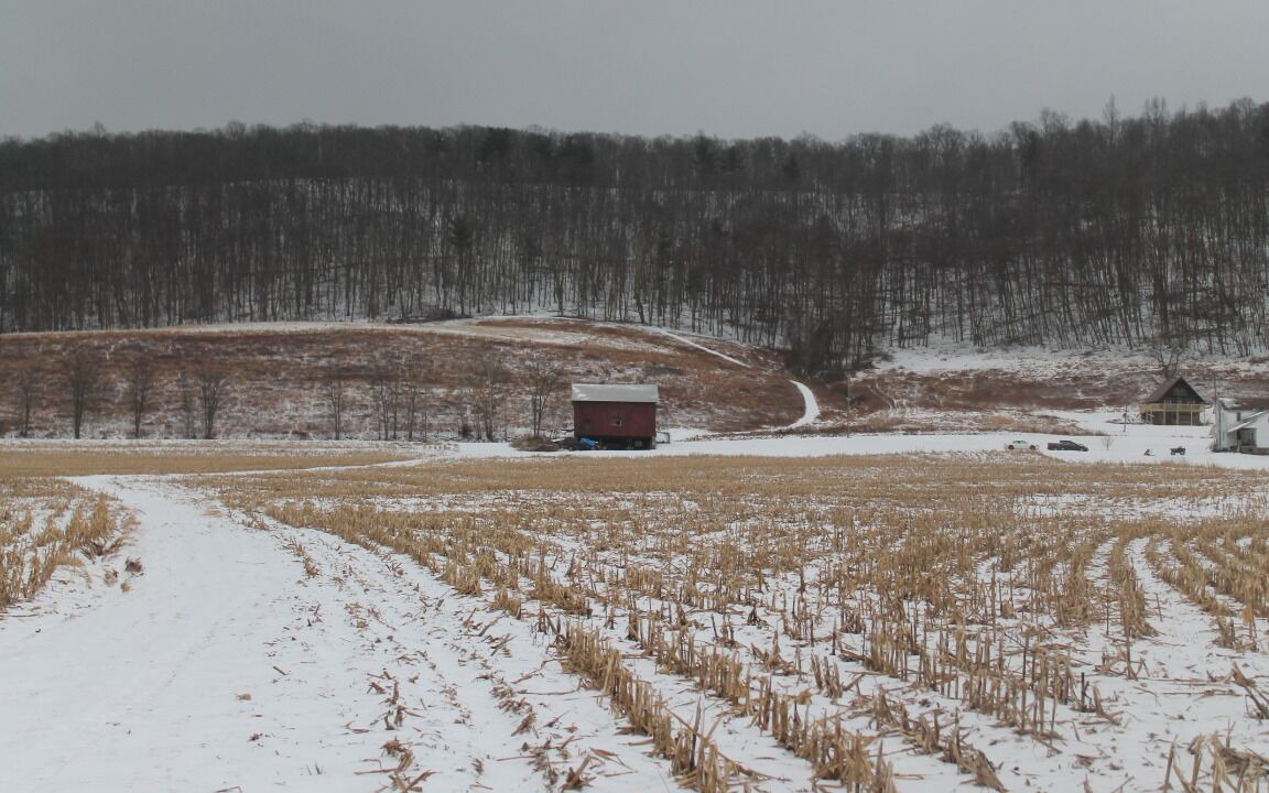 Photo of Others in Sybertsville