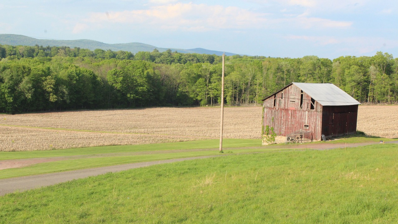 Photo of Others in Sybertsville