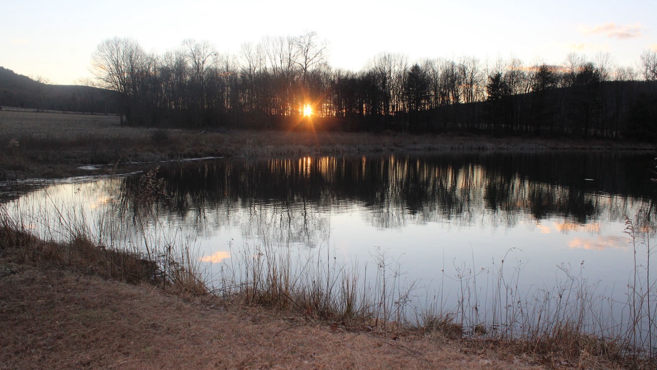 Photo of Others in Sybertsville