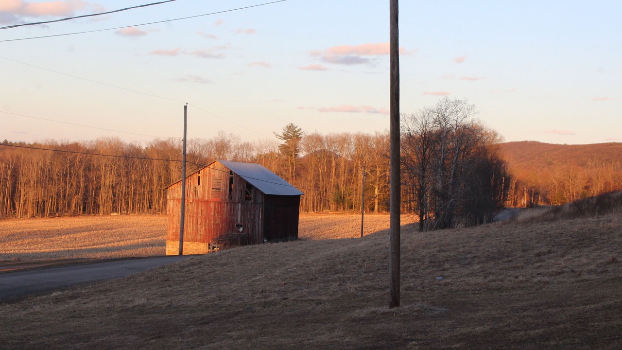 Photo of Others in Sybertsville