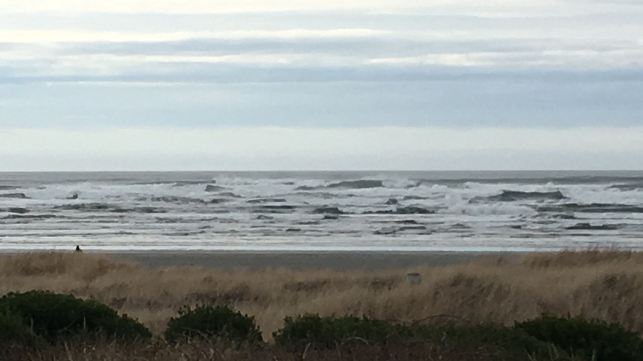 Photo of Others in Moclips