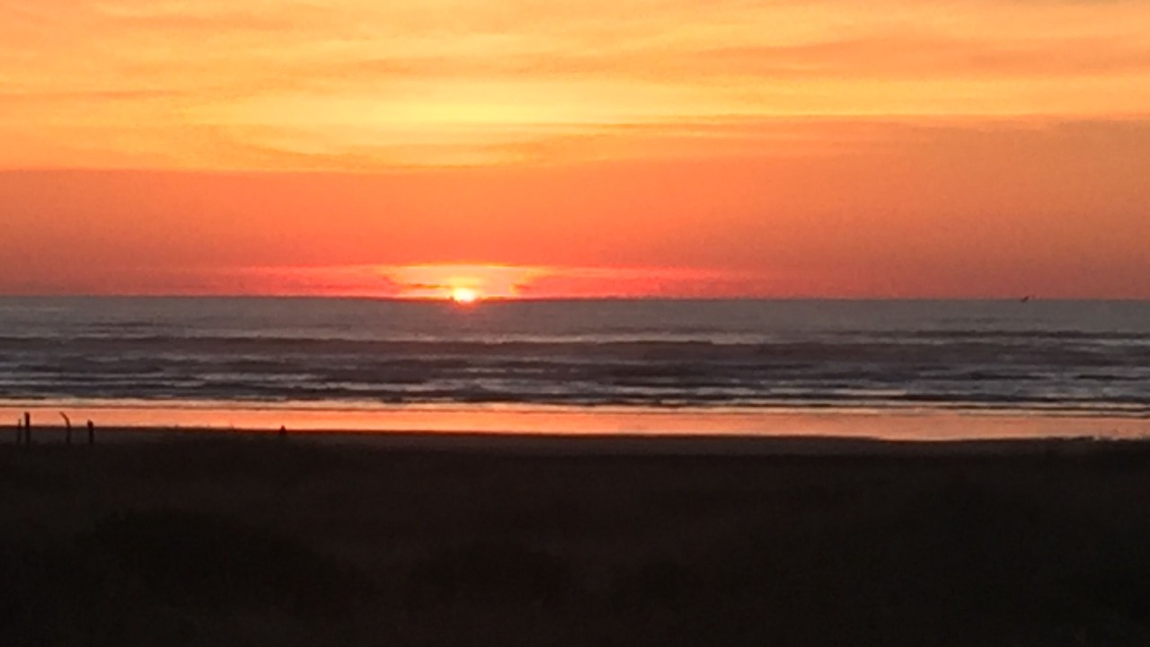 Photo of Others in Moclips