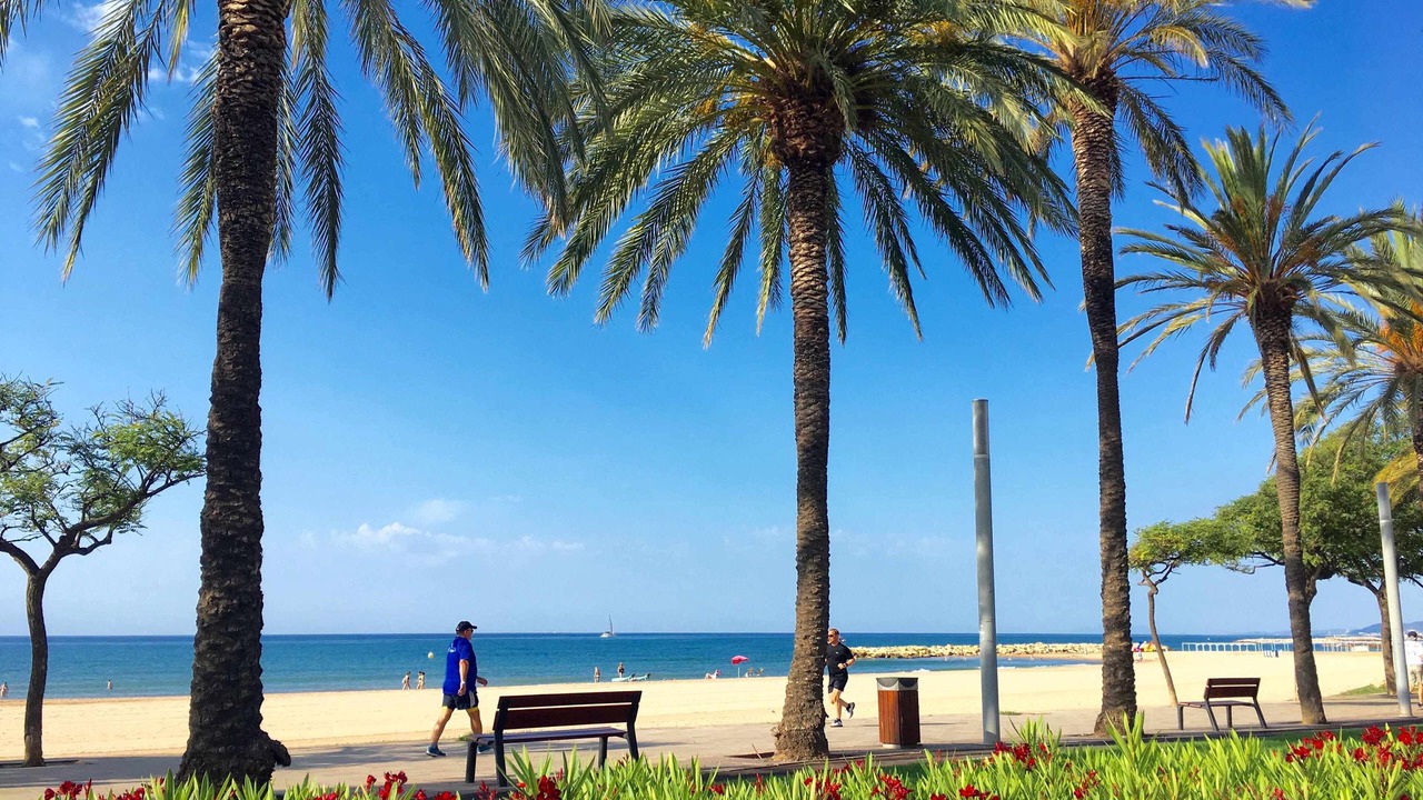 Photo of Others in Miami Platja