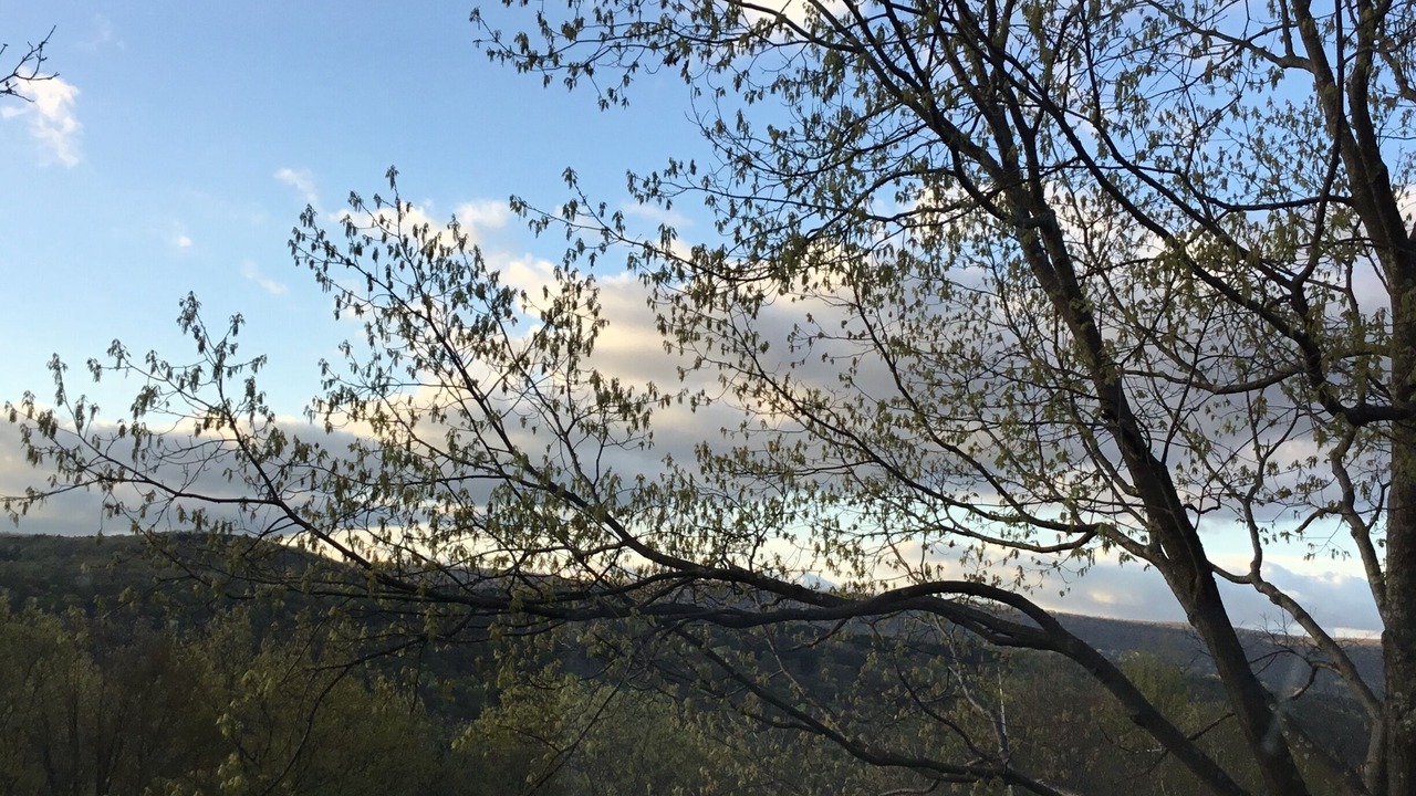 Photo of Outdoor in East Stroudsburg