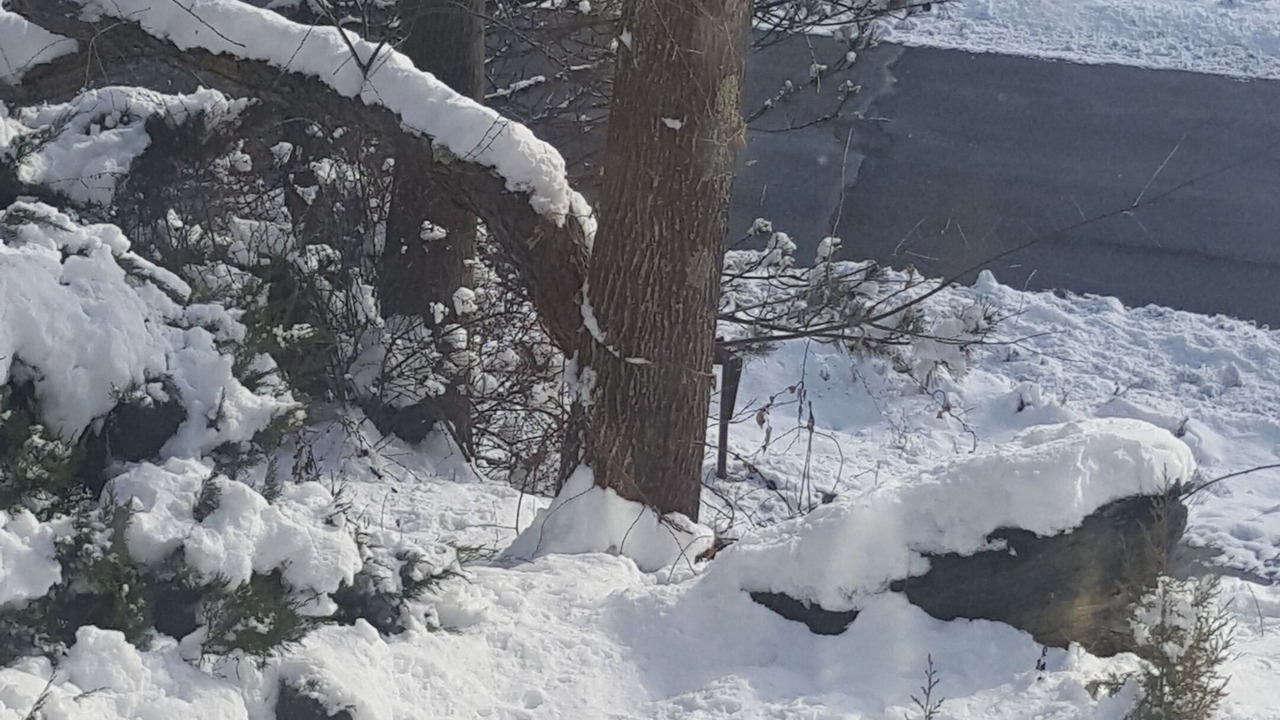 Photo of Outdoor in East Stroudsburg