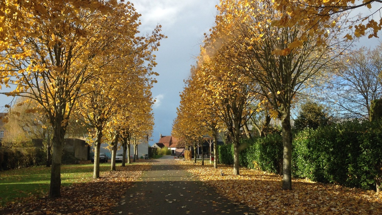 Photo of Outdoor in Arques