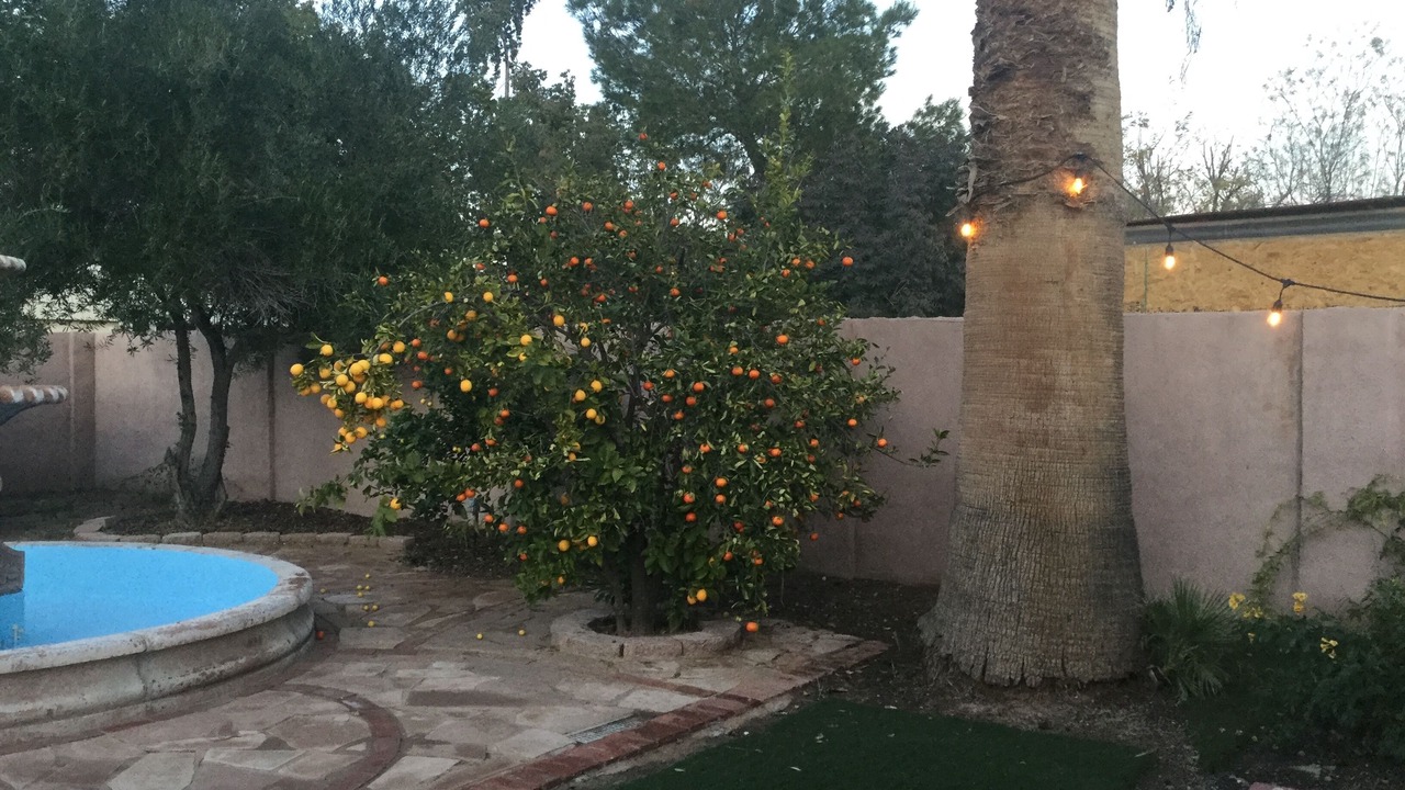 Photo of Outdoor in Litchfield Park