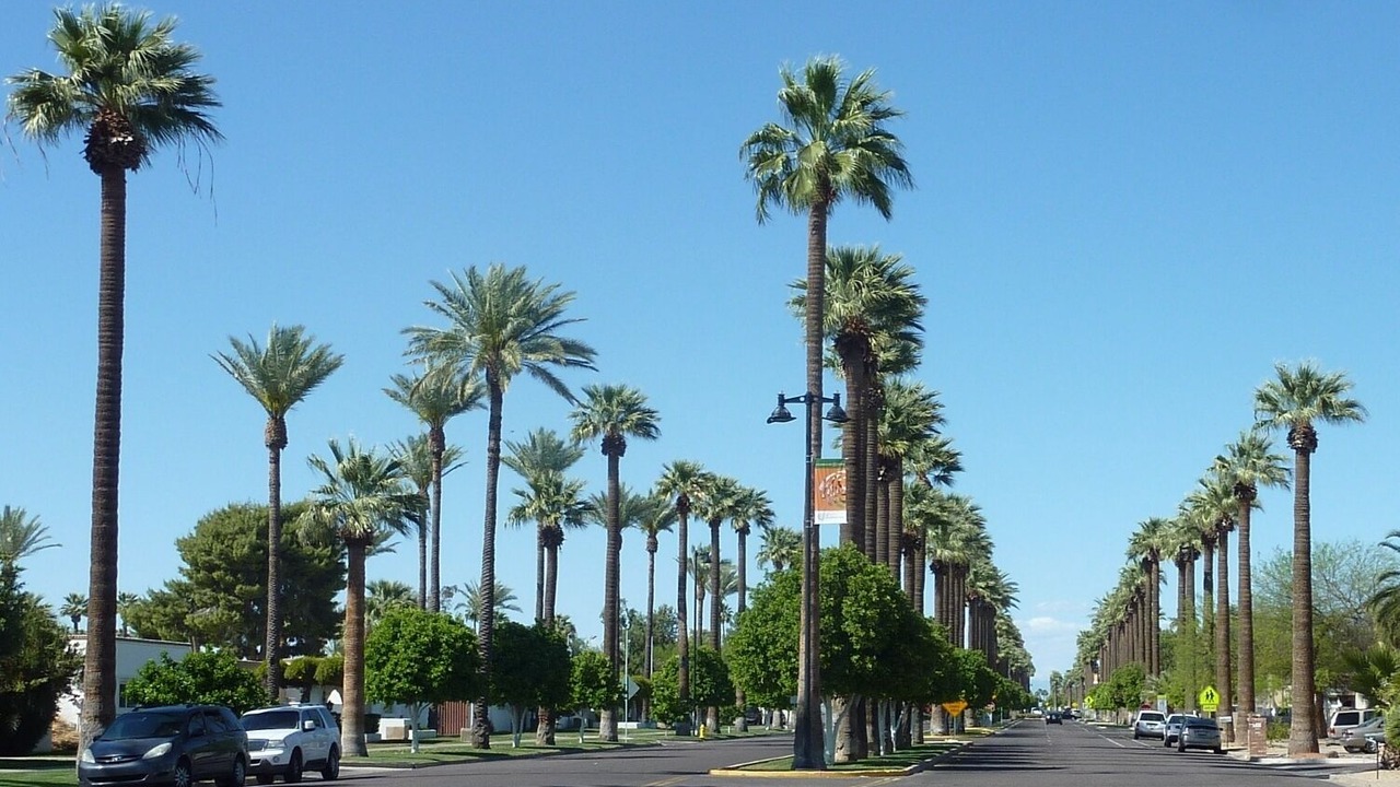 Photo of Outdoor in Litchfield Park