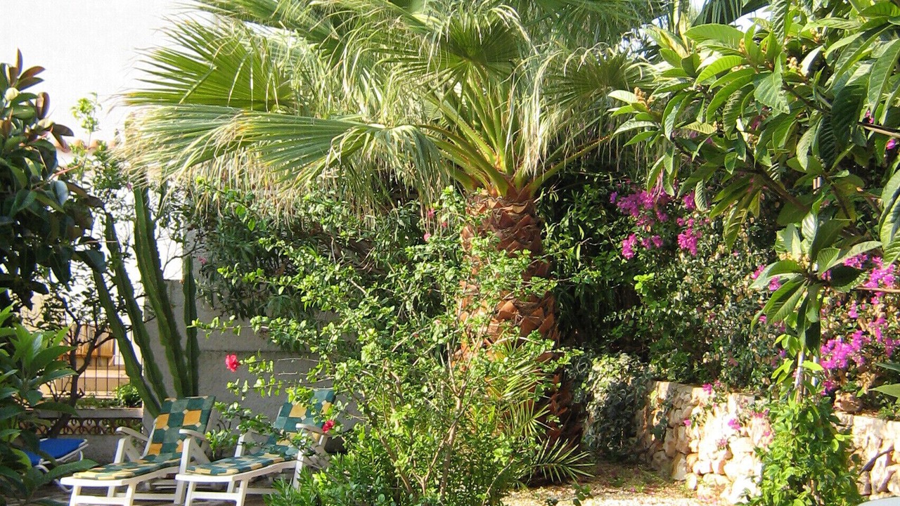 Photo of Patio Balcony in La Empedrola