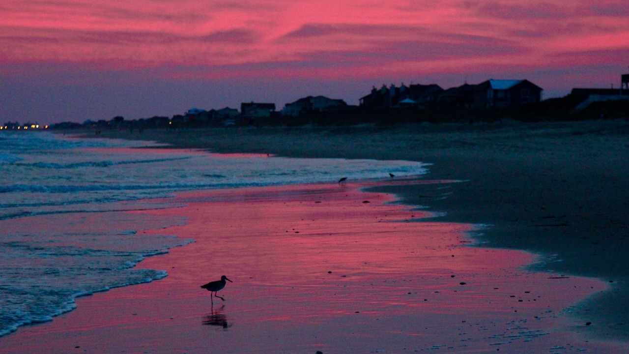 Photo of Others in Emerald Isle
