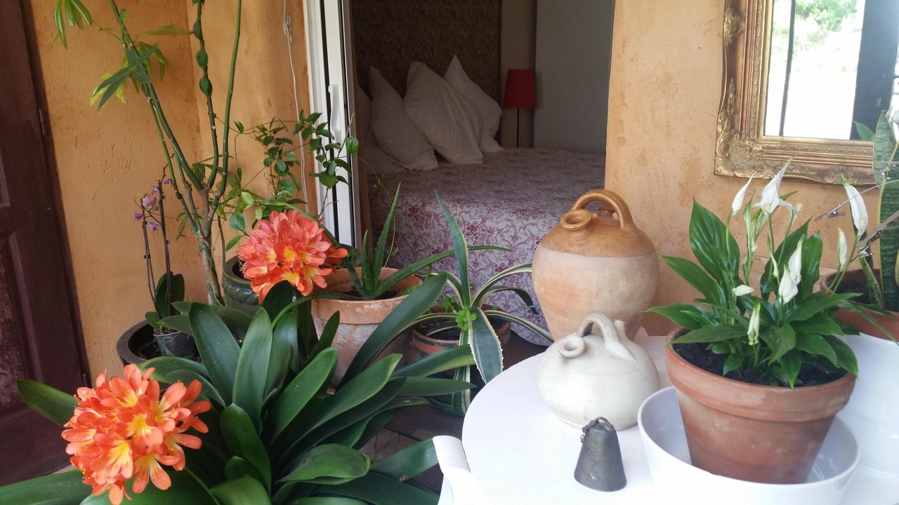 Photo of Bedroom in Lagrasse