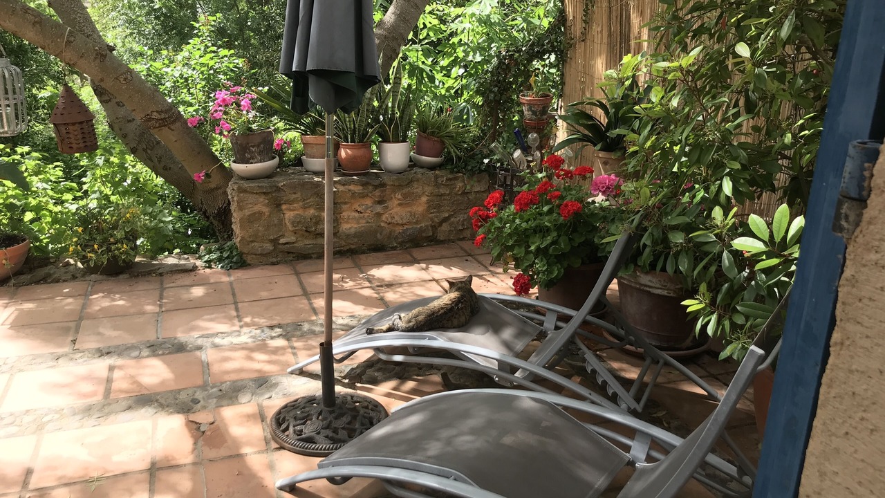 Photo of Patio Balcony in Lagrasse