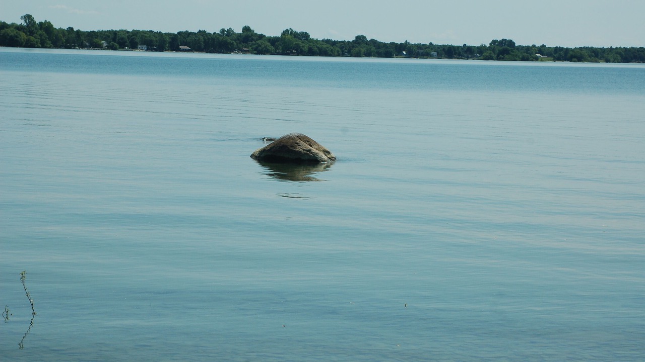 Photo of Others in Three Mile Bay