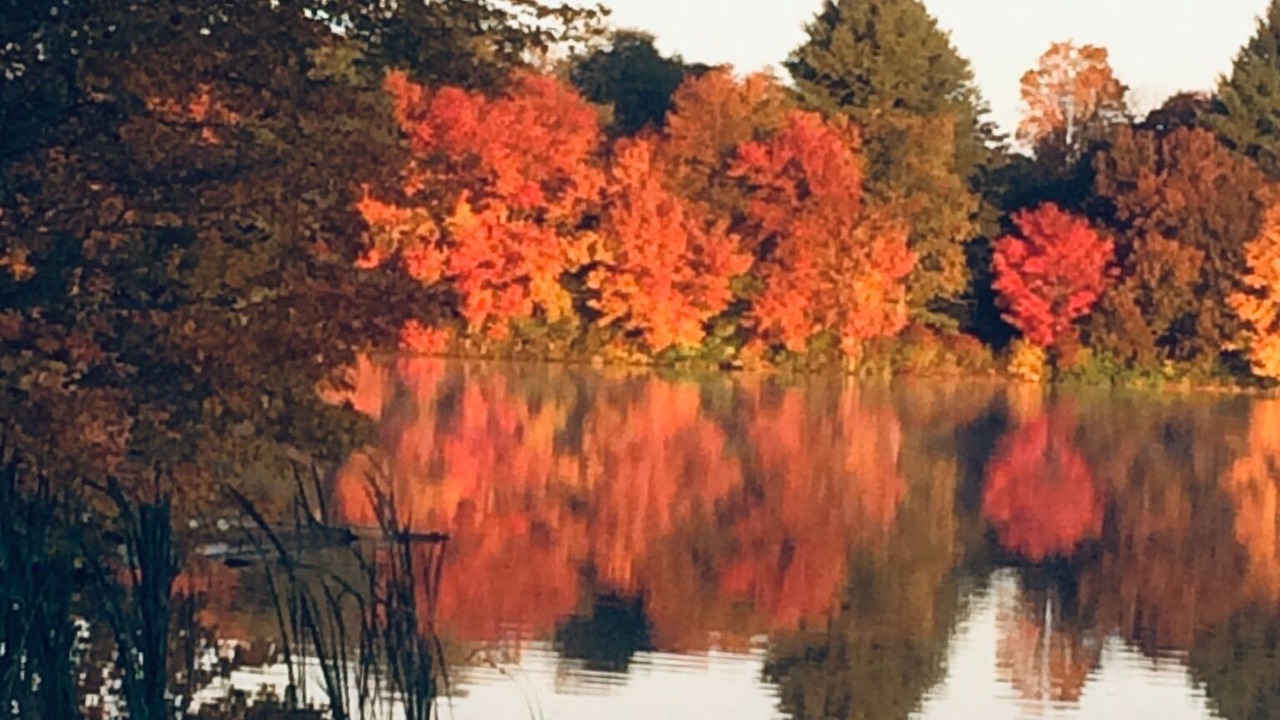 Photo of Outdoor in Spencer