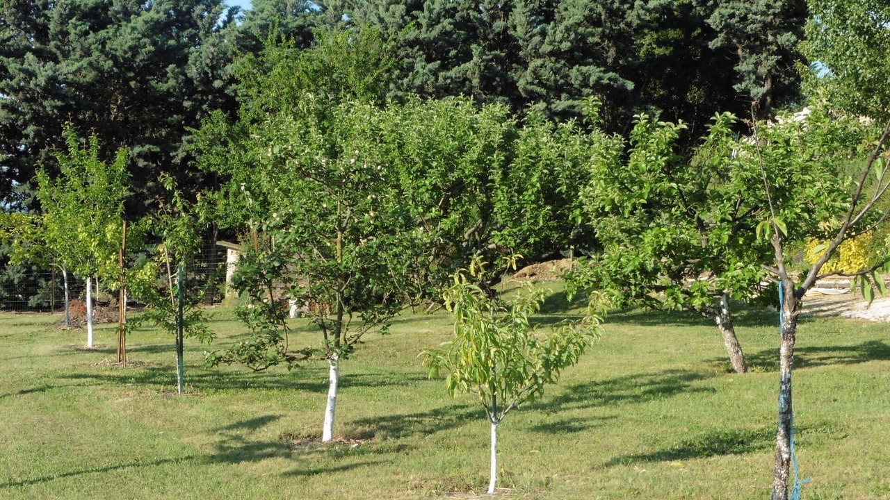 Photo of Outdoor in Valflaunes