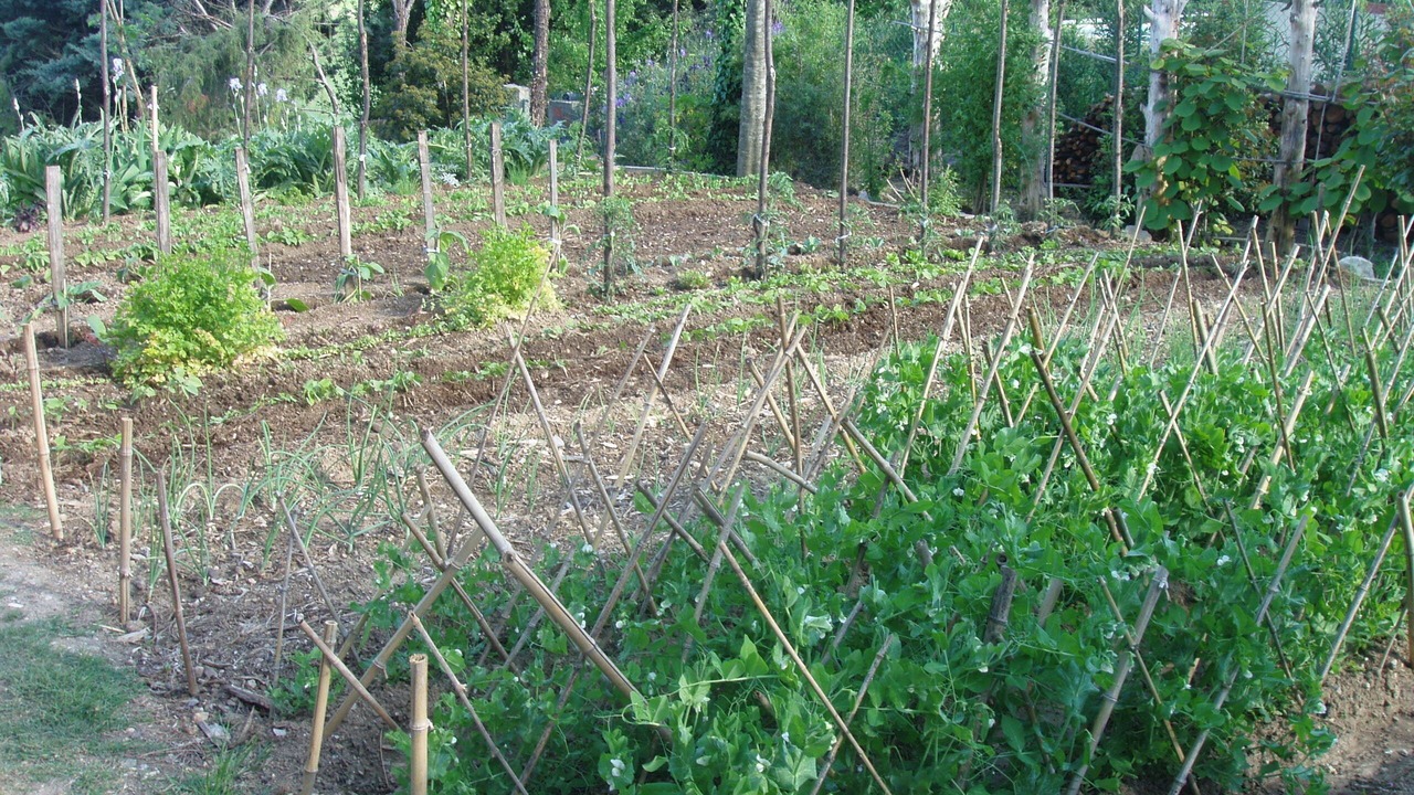 Photo of Outdoor in Valflaunes