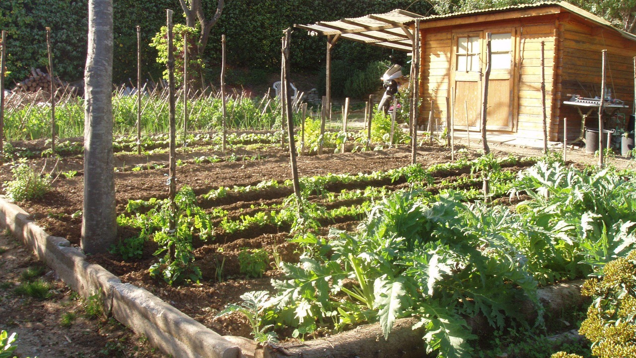 Photo of Outdoor in Valflaunes