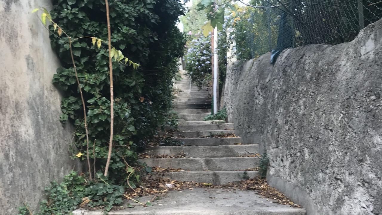 Photo of Outdoor in Roucas-Blanc