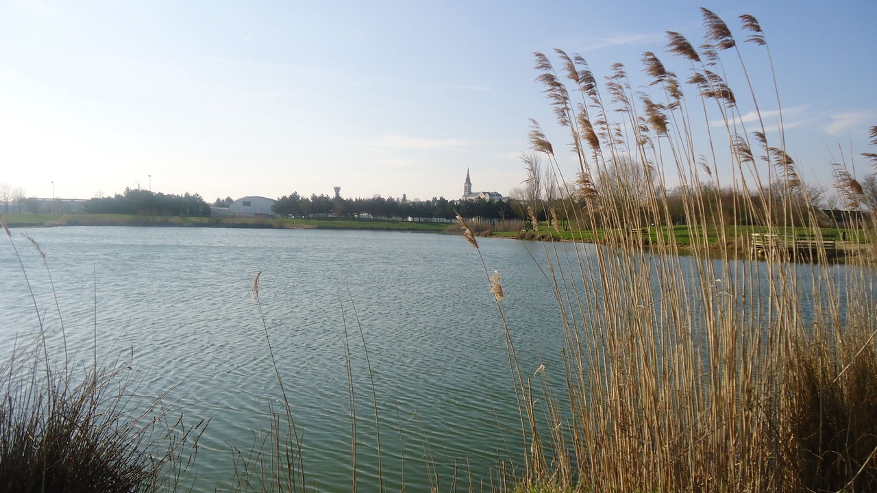 Photo of Others in Le Louroux-Beconnais