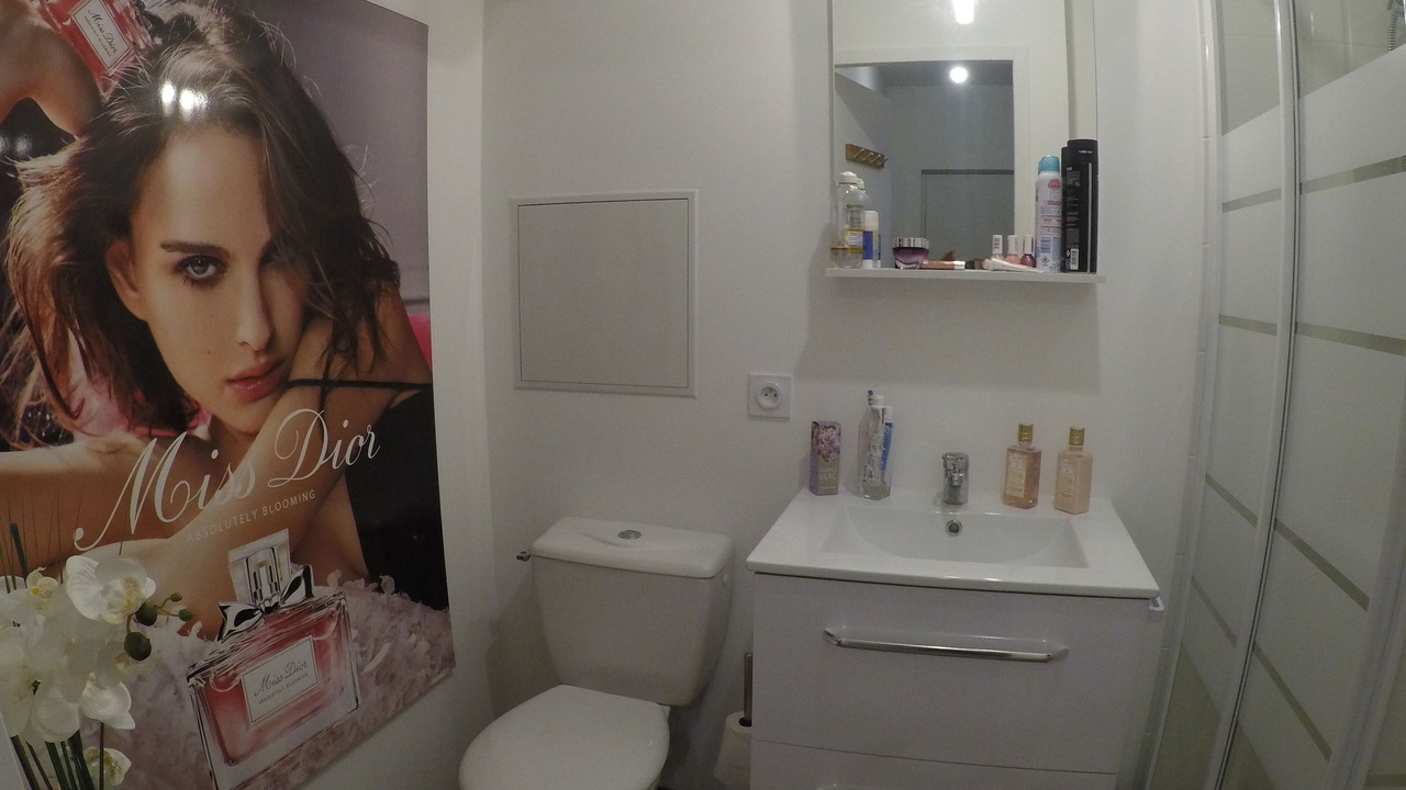 Photo of Bathroom in Rives