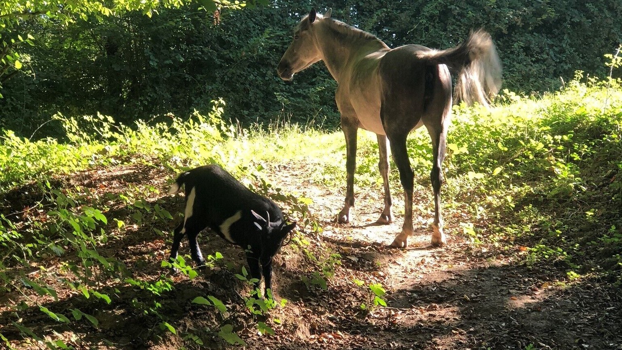 Photo of Outdoor in Genneville