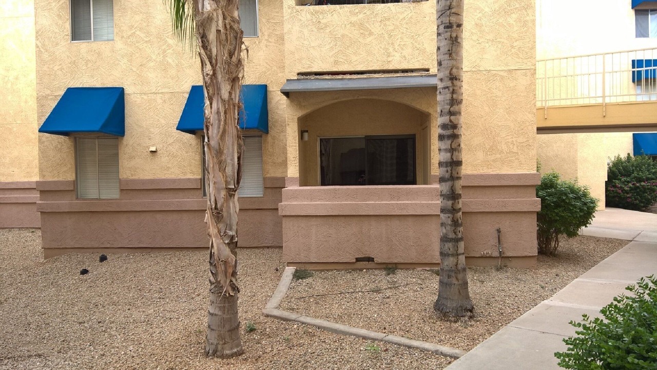 Photo of Outdoor in Surprise