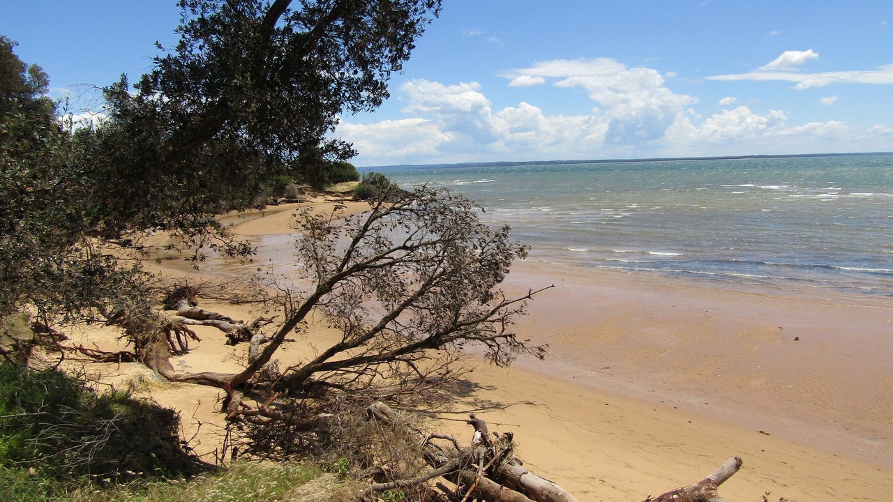 Photo of Others in Silverleaves